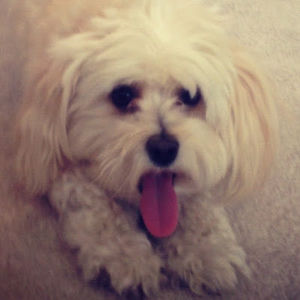 Meet your Posher, Kathleen